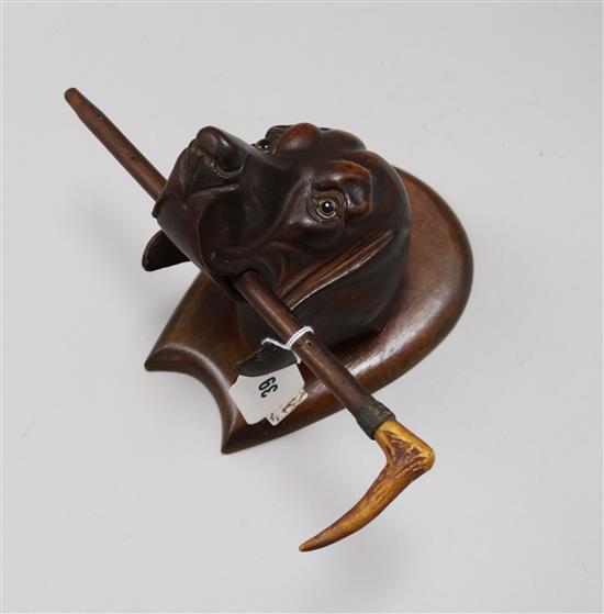 A carved wood hounds head wall bracket depth 20cm width 28cm